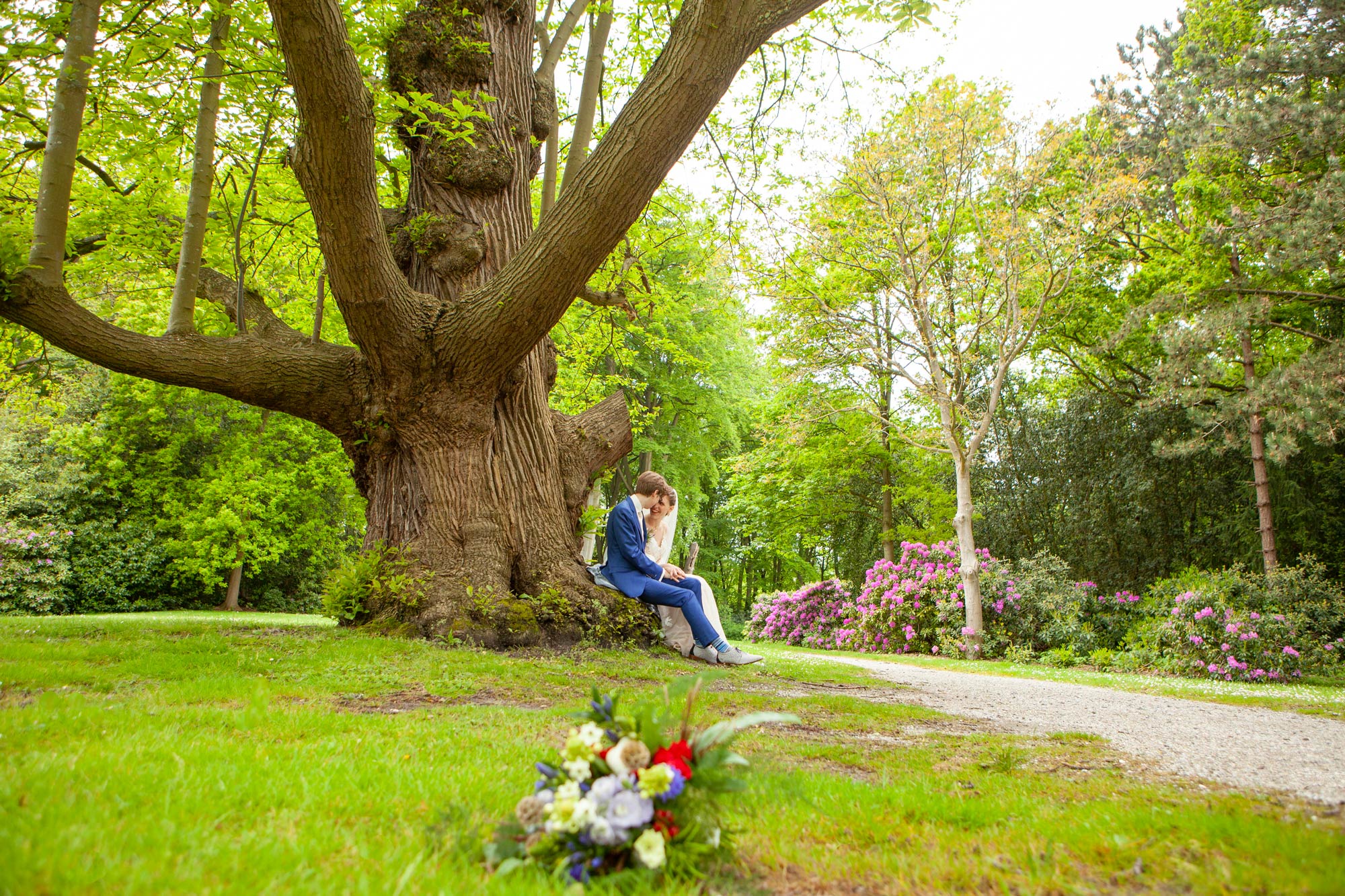 wedding couple secluded on old tree in park